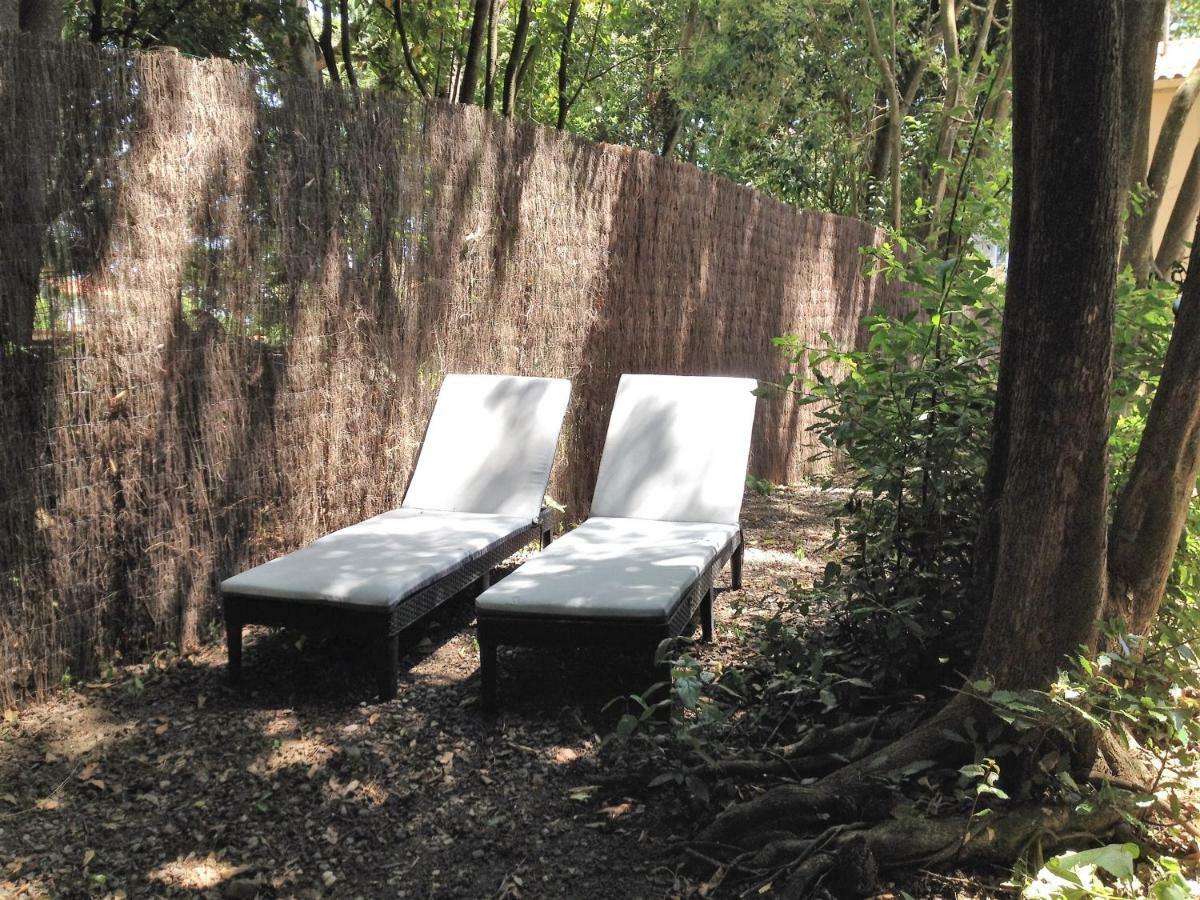 Au Vieux Lavoir Avec Parking Prive, Jardin , Climatisation, A 500 M De La Cite Carcassonne Exterior photo